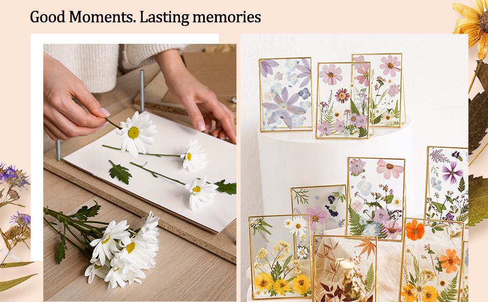 Blotting Paper for Flower Pressing