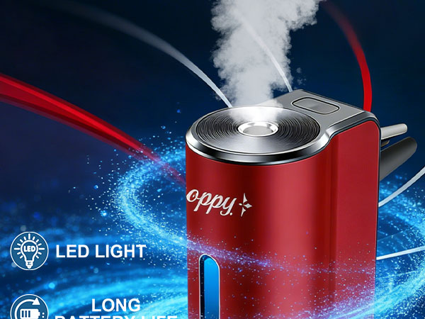 car diffuser -1