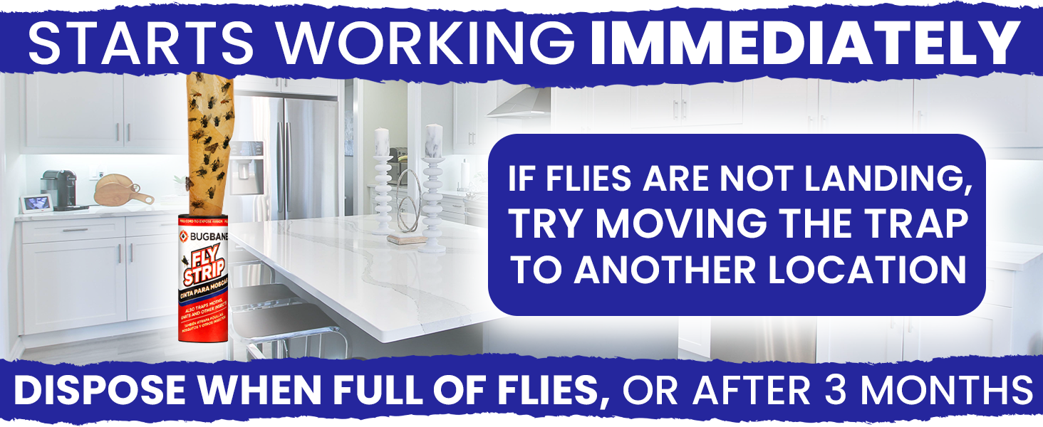Works immediately