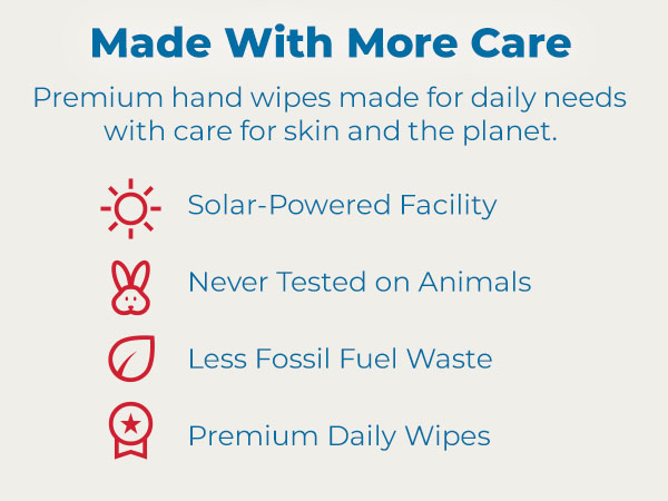 Handy Clean Wipes