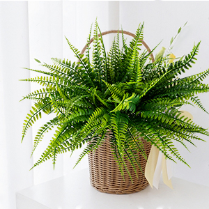 fake outdoor plants