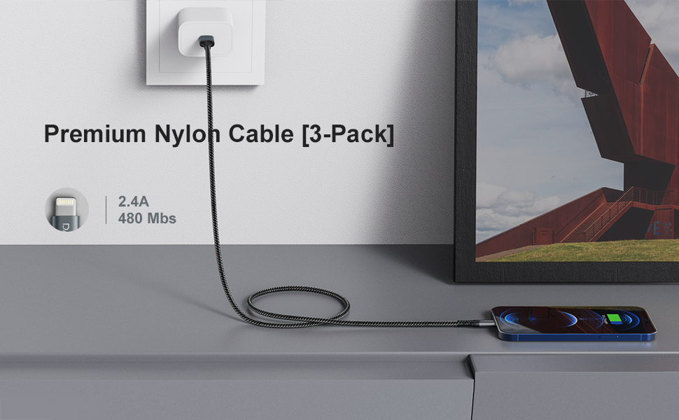 iphone cord 10ft