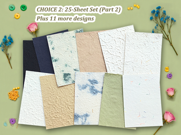 choice 2-2