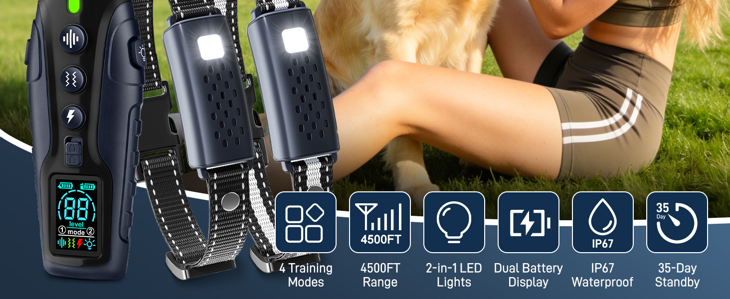 shock collar for dogs