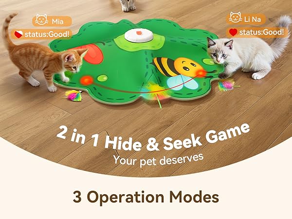 cat toys