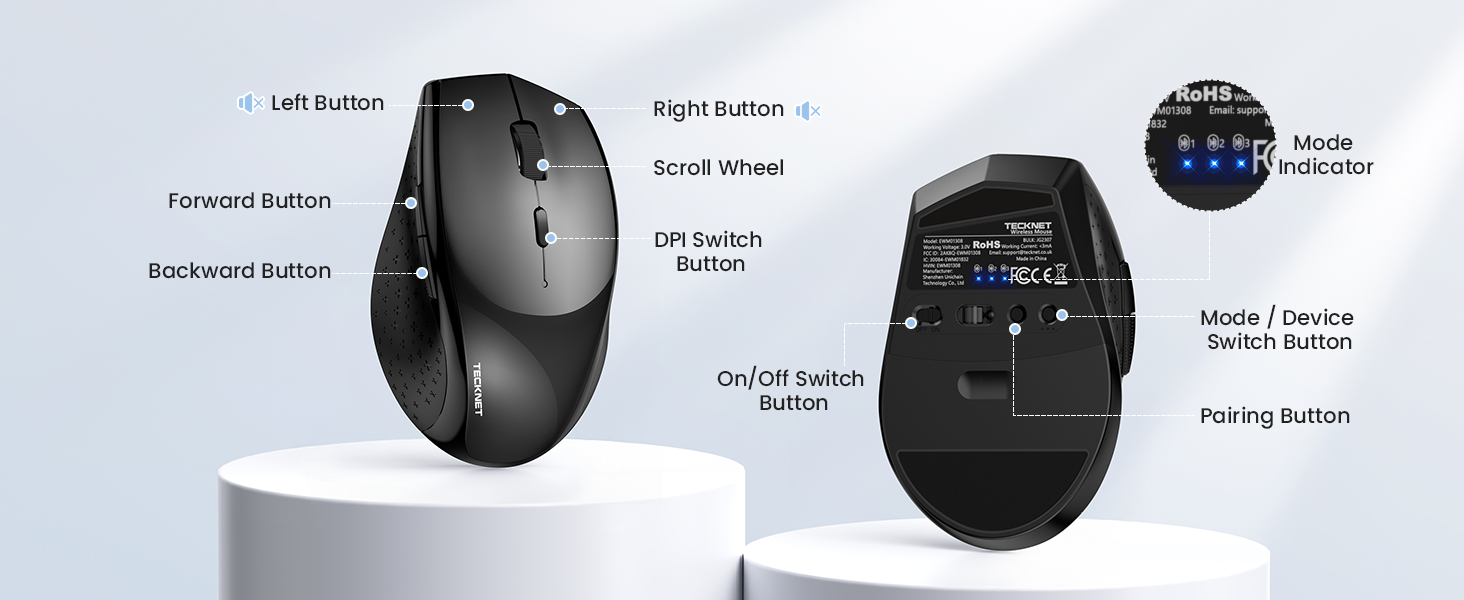 mouse