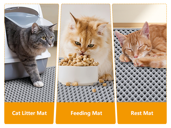 Double Layer Cat Litter Mat