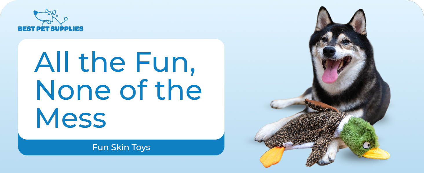 fun skin toy