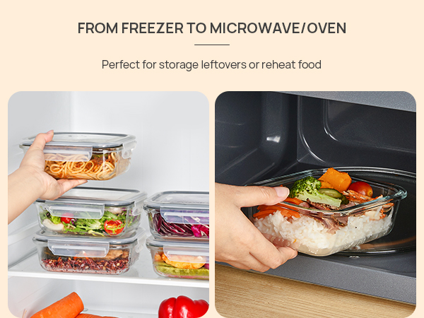 lunch containers for adults