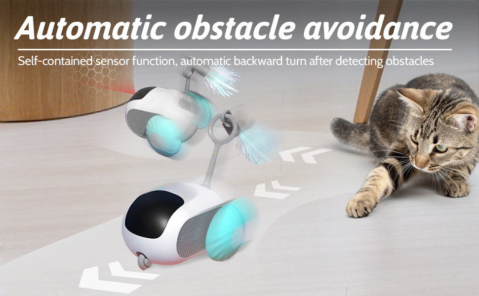 remote control cat toy