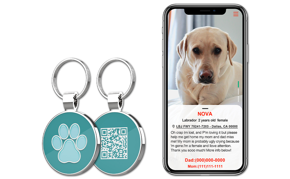 MYLUCKYTAG PET ID TAG TEMPLATE B
