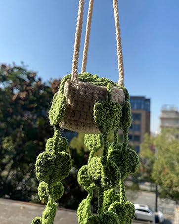 hanging car plant