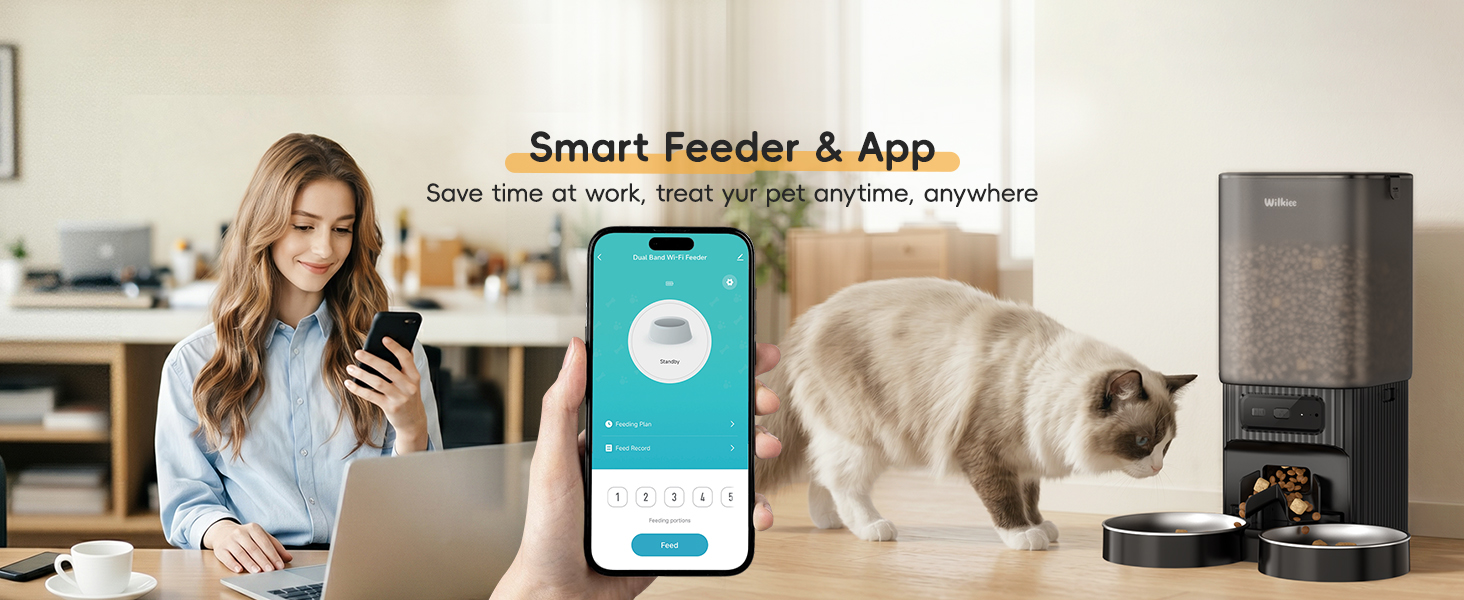 cat automatic feeder