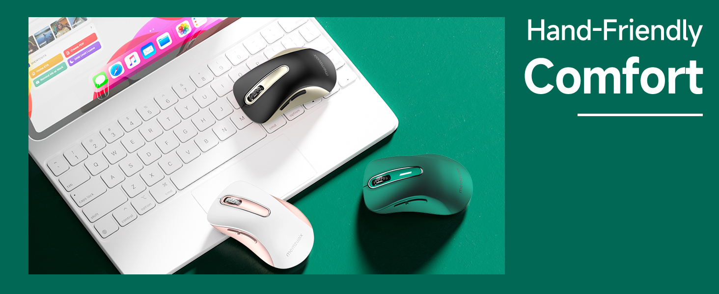mouse