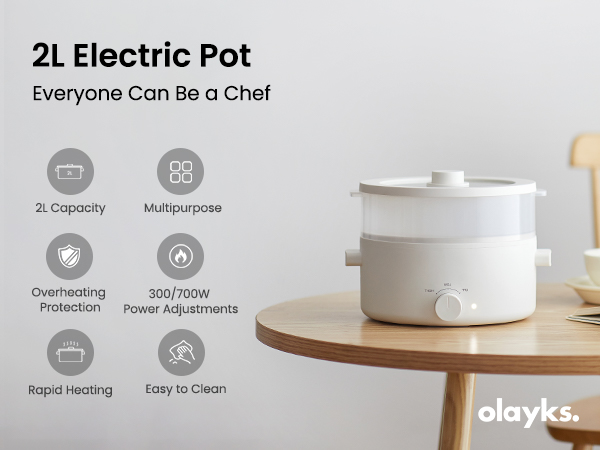 hot pot electric