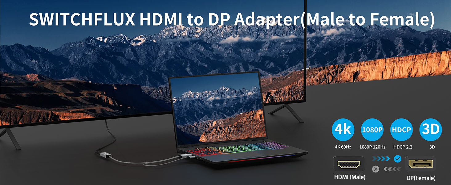 HDMI to DP