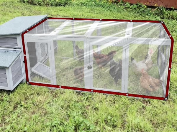 clear plastic tarps heavy duty waterproof