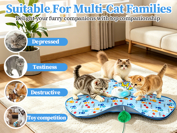 self play cat toys