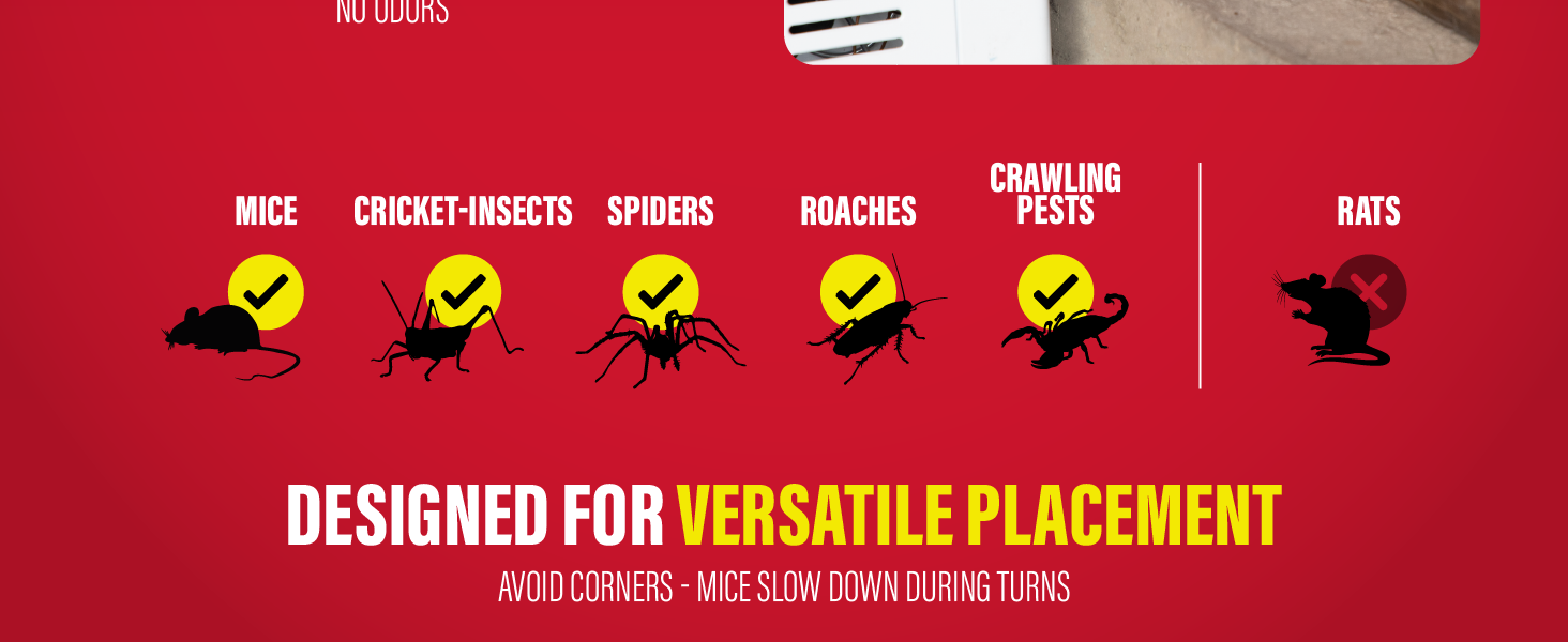 Max-Catch glue trap targets mice, insects and crawling pests, not rats