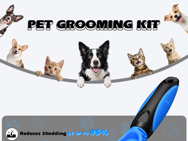 dog comb