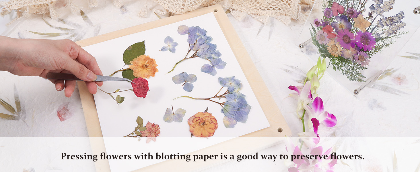 Blotting Paper