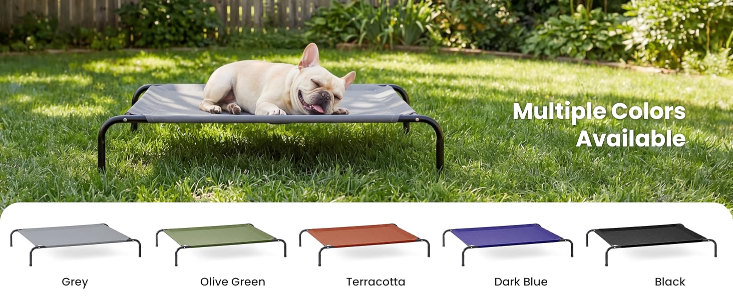 dog cot