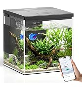 PAWGETHER Smart Fish Tank, 2.4 Gallon Glass Aquarium with App Control, Wireless Quiet Pump Light...