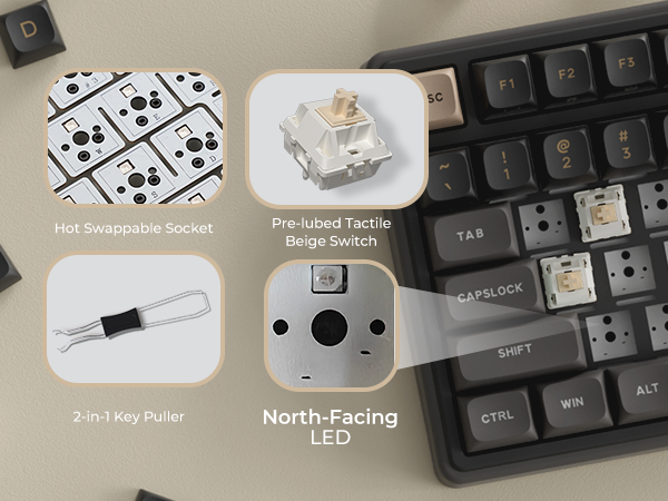 Hot swappable tactile beige switches