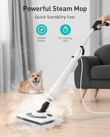 steam mop