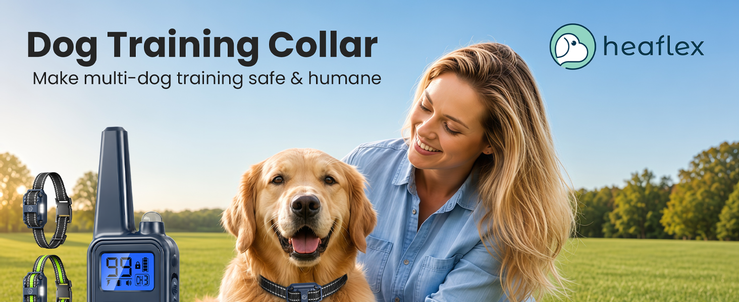 Dog Training Collar