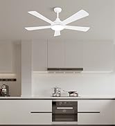 white ceiling fan with light