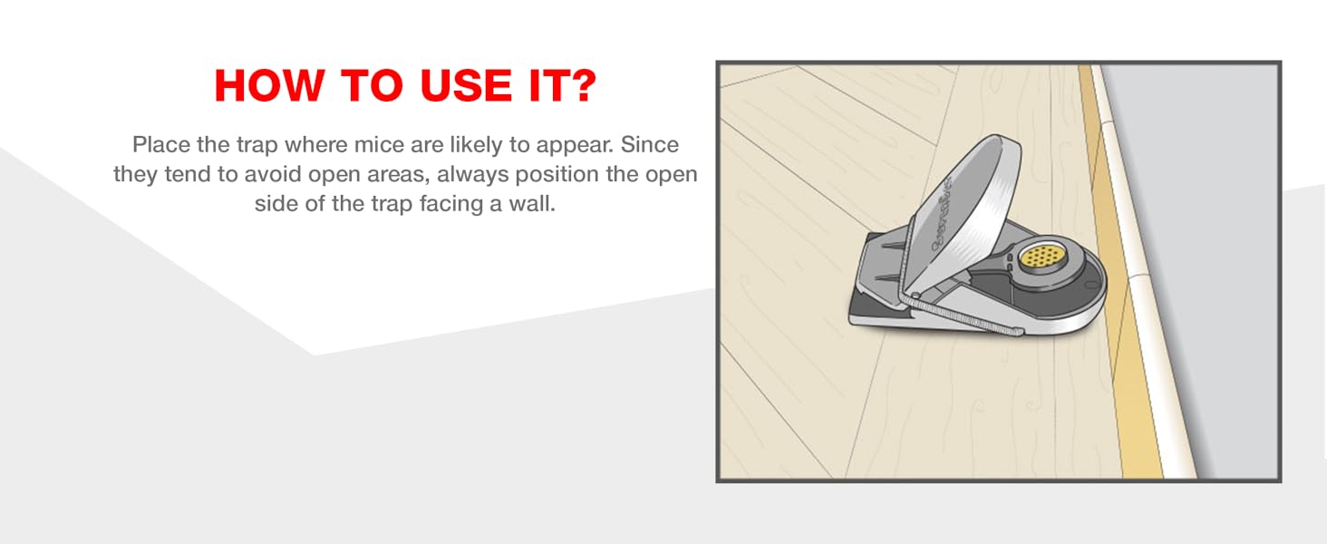 mouse trap with dual entry increases catch rate humane reusable design