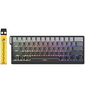 MAMBASNAKE X60 HE 60% Rapid Trigger Wireless Gaming Keyboard,Hall Effect Magnetic Switches,Adjust...