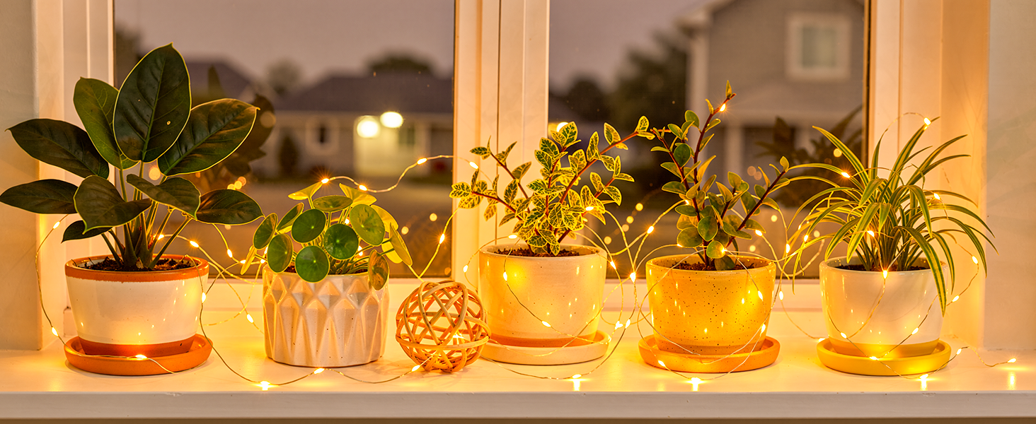 christmas lights outdoor