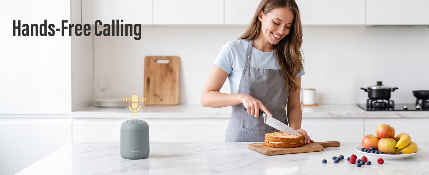 portable bluetooth speaker