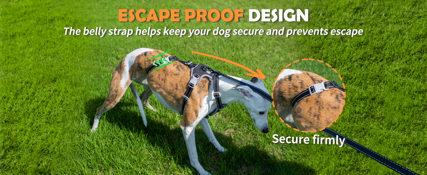 escape proof dog harness