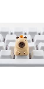 https://m.media-amazon.com/images/S/aplus-media-library-service-media/98756c28-c878-46a1-a3c1-97f780d55f13.__AC_SR150,300___.jpg