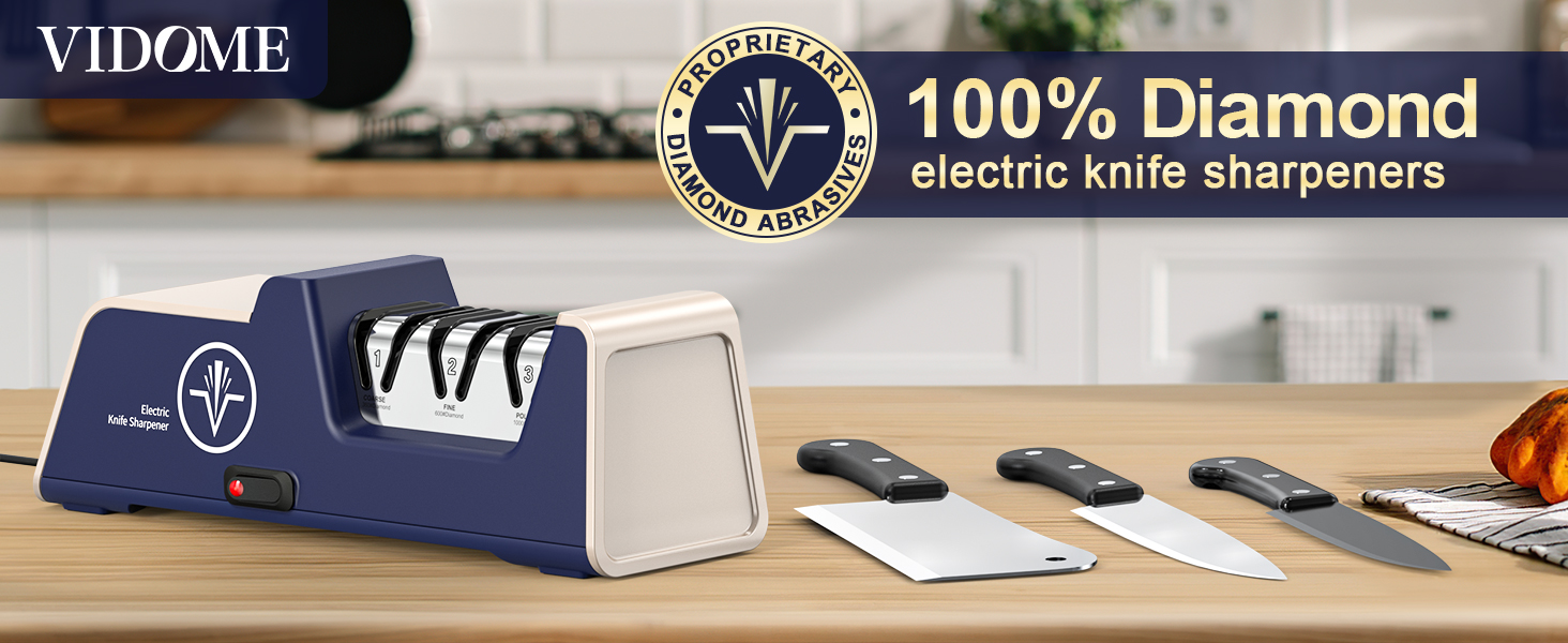 Professional Electric Knife Sharpener