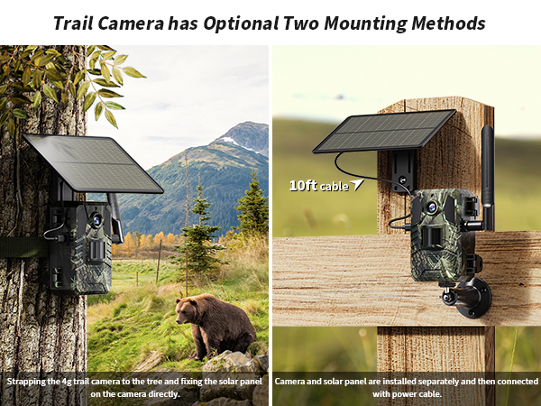 Cellular Trail Cameras