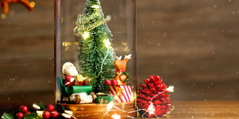 fairy string lights