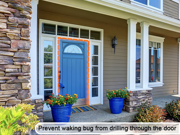 door weather stripping