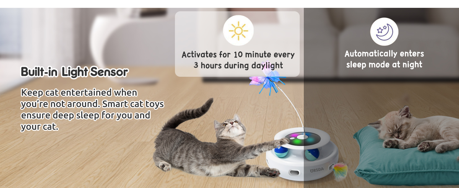 Cat Toys