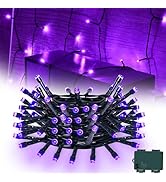 cshare Purple String Lights Battry Operated with Timer Waterproof, Halloween String Lights for Ou...