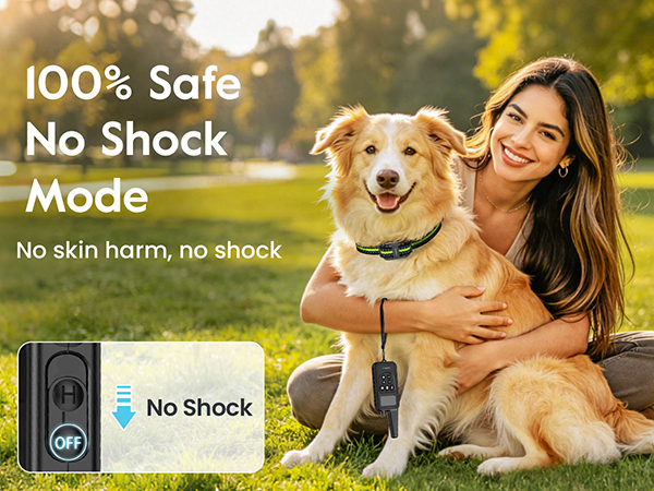 shock collar