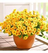Waipfaru Artificial Flowers for Outdoors Faux Plants, UV Resistant Artificial Outdoor Flowers, Ye...