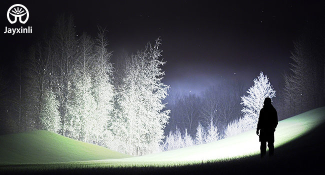 a forest with trees and a snow covered hill.