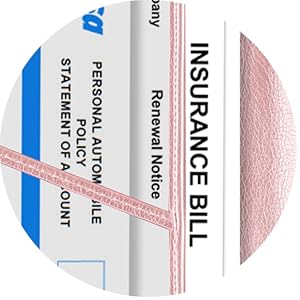 trailer registration holder waterproof, license and registration holder for car