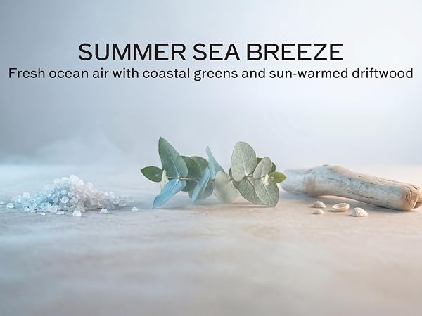 SUMMER SEA BREEZE- Fresh ocean air with coastal greens and sun-warmed driftwood