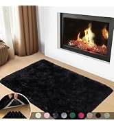 Mugorn Black Rugs for Bedroom, 2x3 Feet Fluffy Area Rugs for Living Room, Soft Shag Kids Rug Smal...