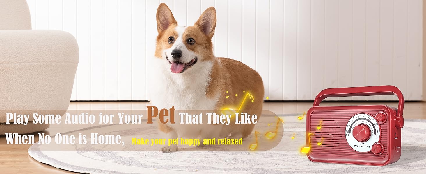 D218 portable radio for pet